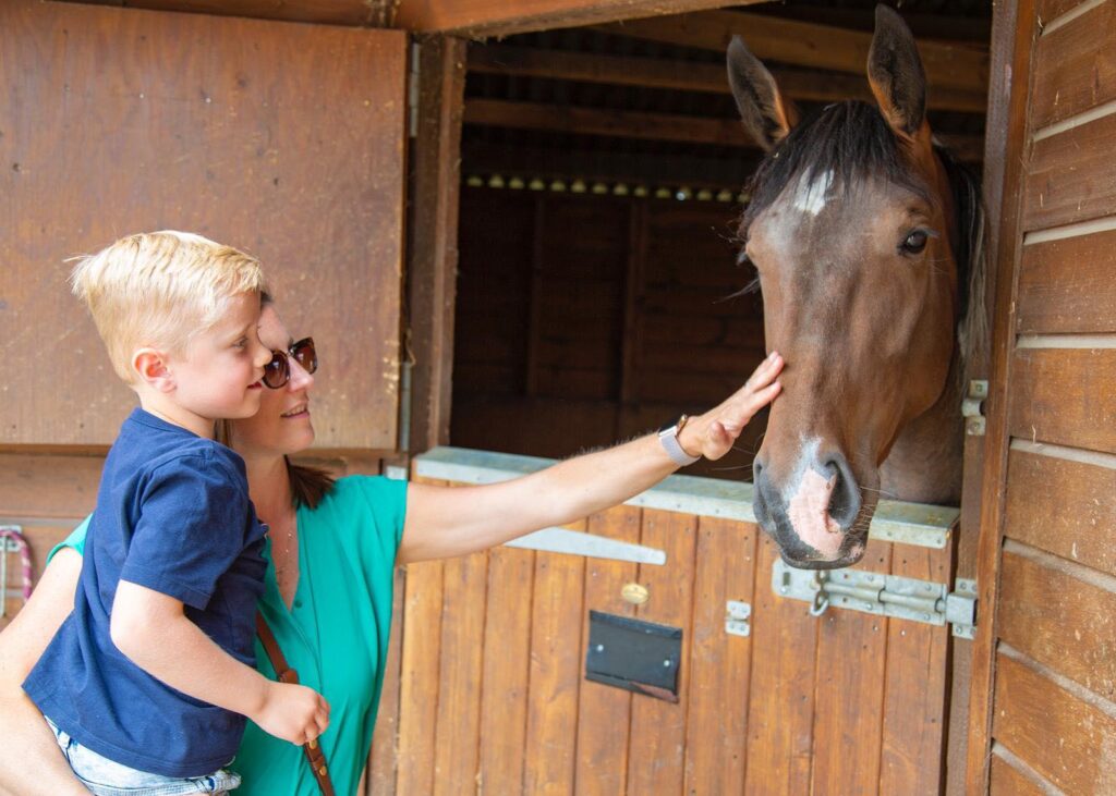 where to see animals in Essex things to do in Essex with kids