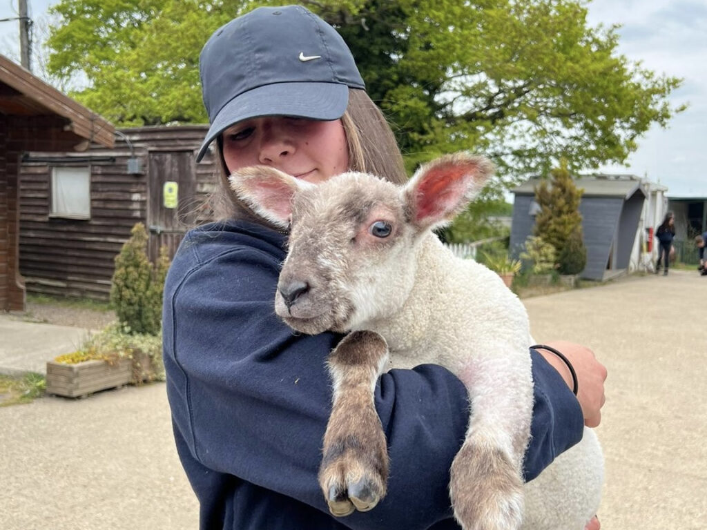 things to do in Essex in the summer holidays