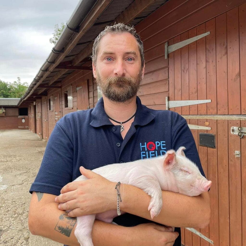 Veganuary where to see animals in Essex