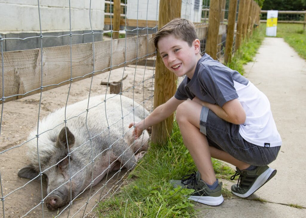 things to do in Essex with children