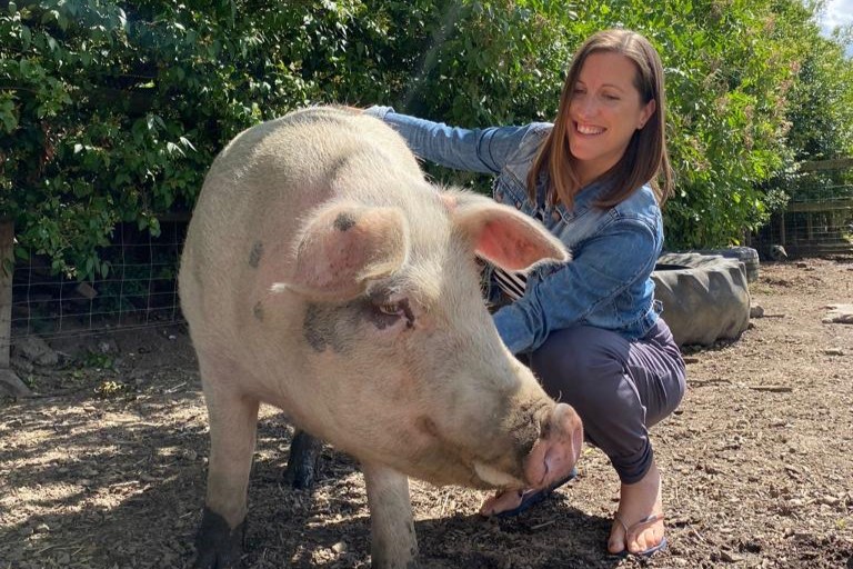 things to do in Essex with kids Ethical Animal Experiences