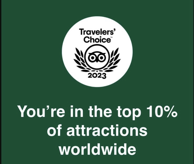 things to do in Essex with kids tripadvisor