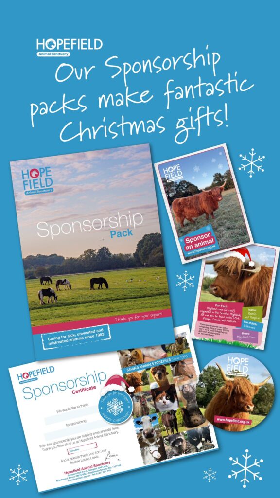 xmas gifts for animal lovers where to see animals in Essex