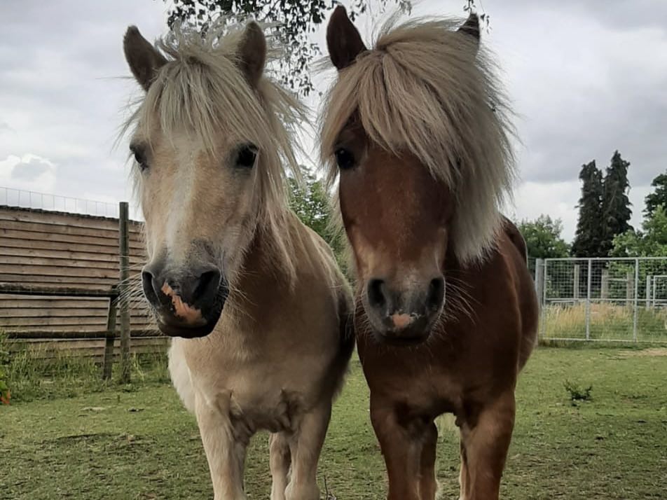 things to do in Essex with kids events