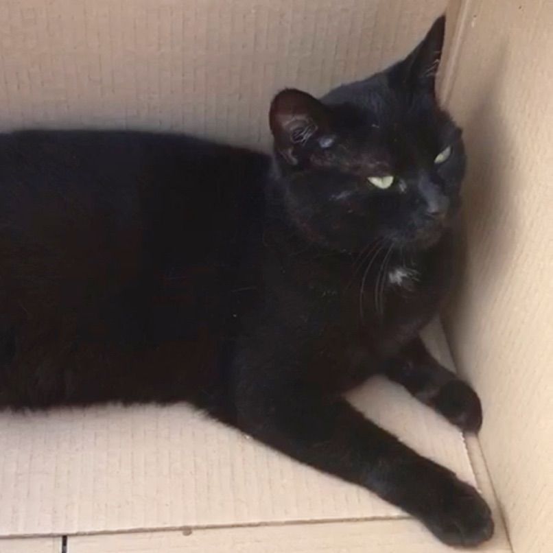 where to see animals in Essex Rosco