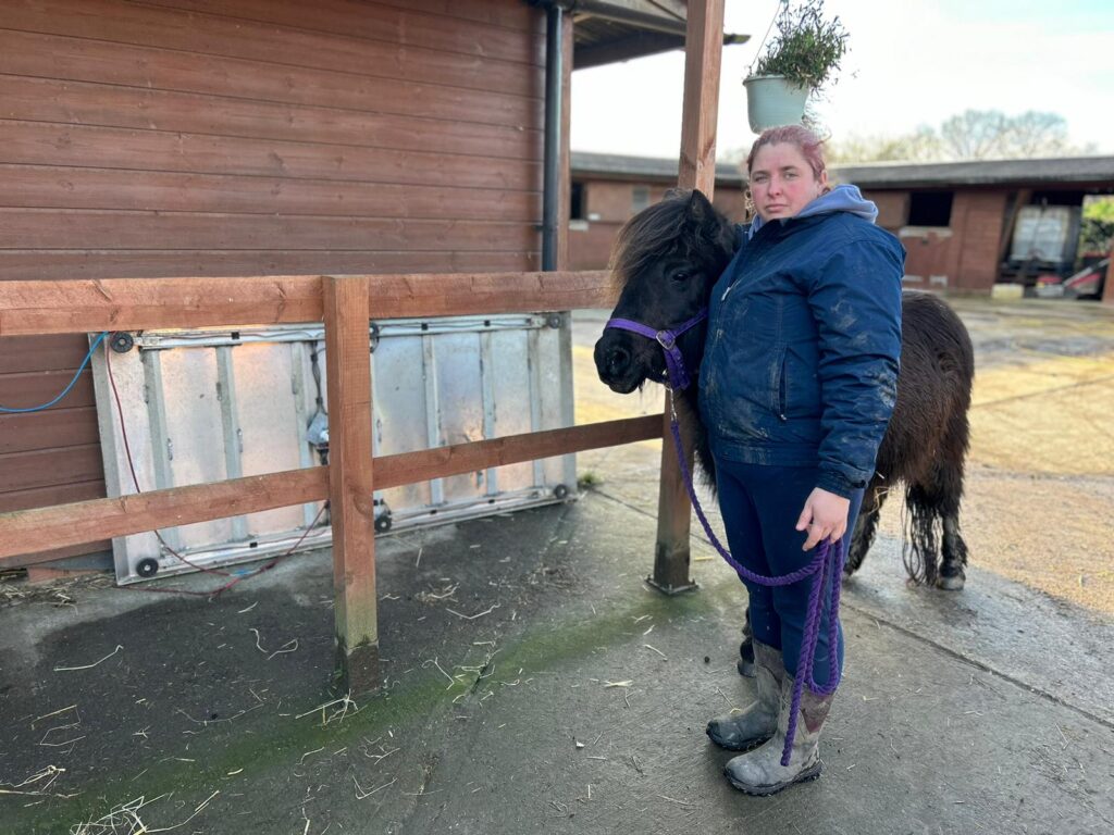 equine scales - fundraising for Hopefield