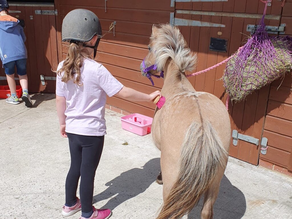 Pony grooming