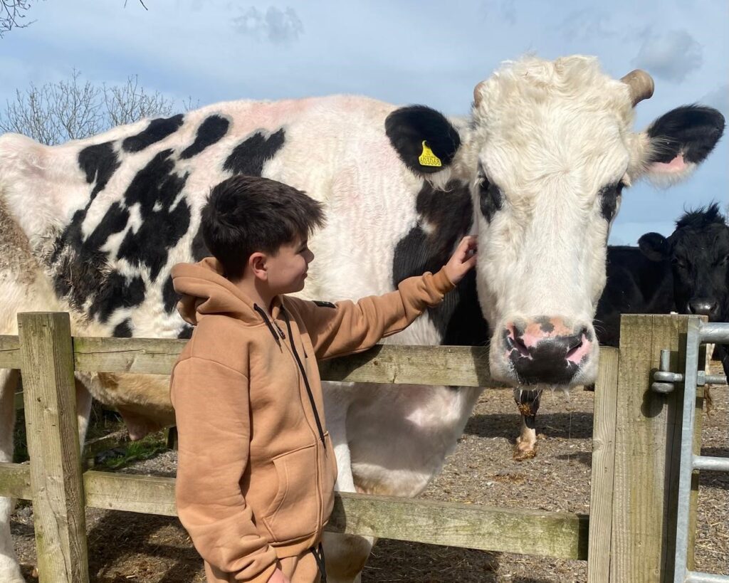 things to do in Essex with kids events