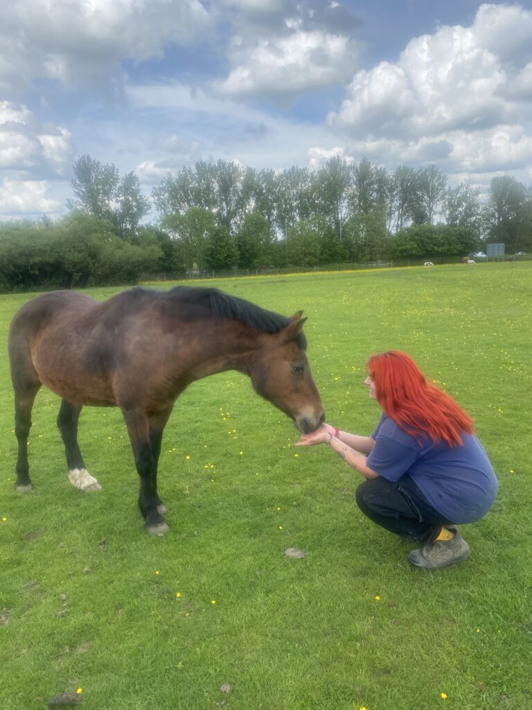 Volunteering with animals in Essex