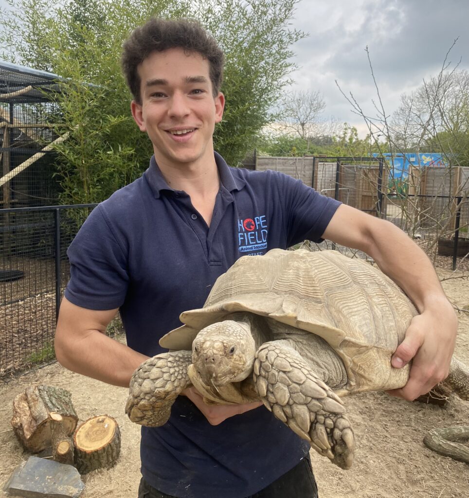 Xico where to see animals in essex