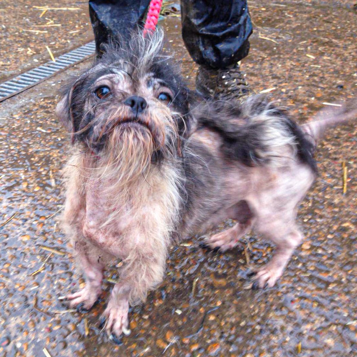 105023513_3367109686646861_280952767892760246_n 105023513_3367109686646861_280952767892760246_n