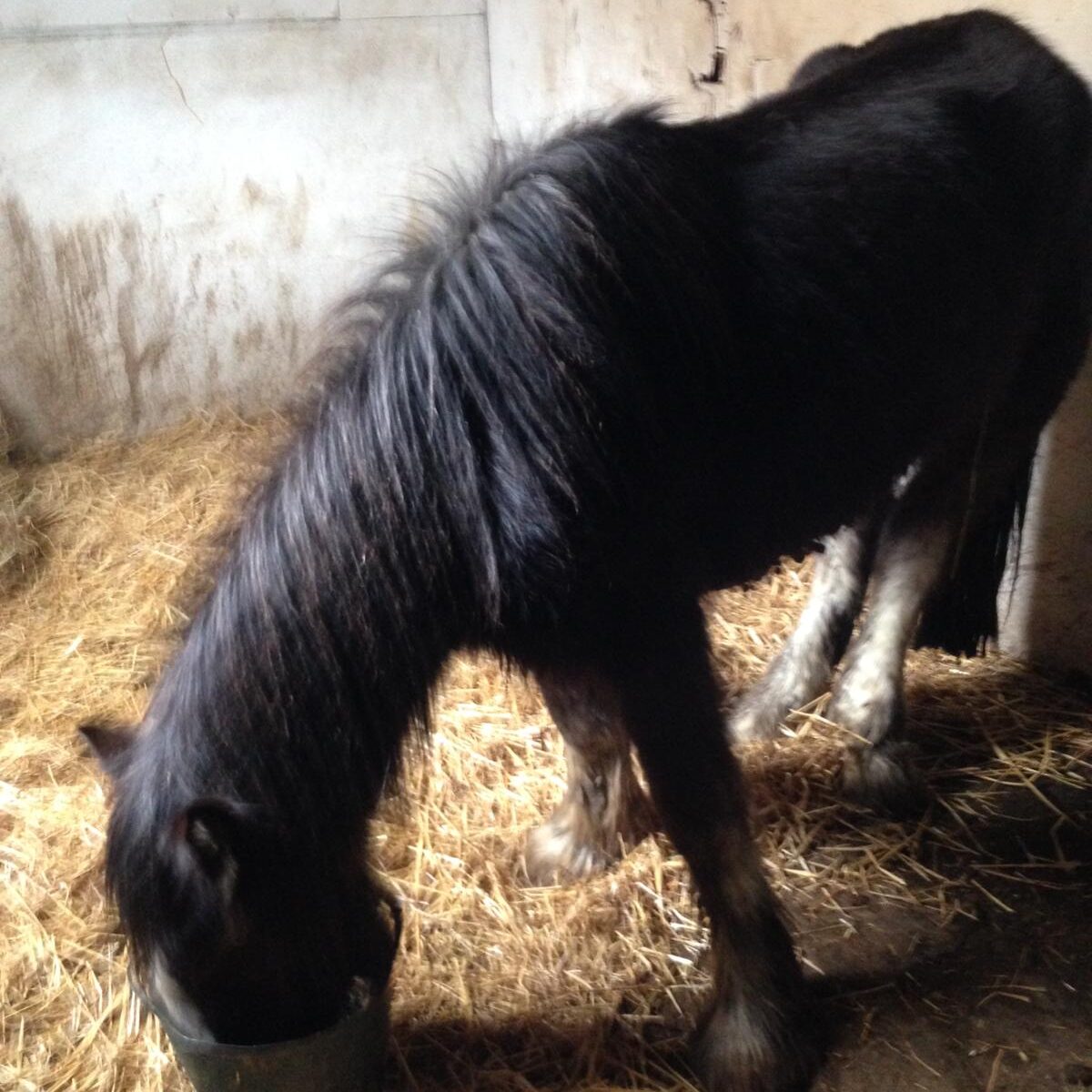 98081148_3272691976088633_6580796870010863616_n 98081148_3272691976088633_6580796870010863616_n