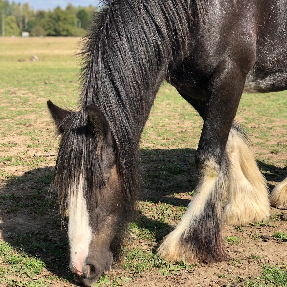 98186438_3272692012755296_2042175310509637632_n