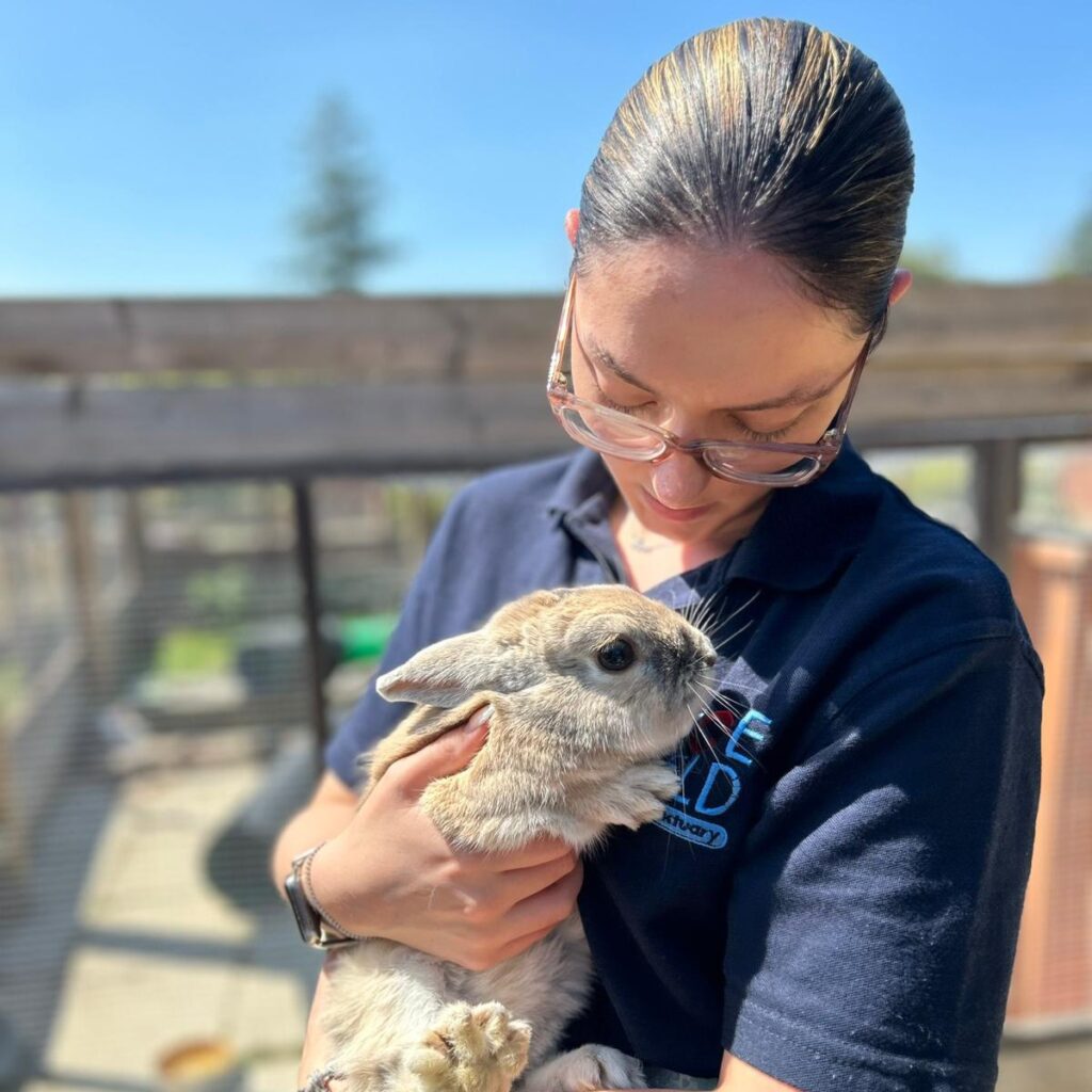 Nicole where to see animals in essex