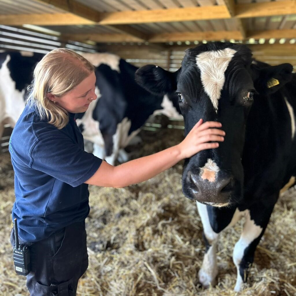 Izabelle working with animals in Essex