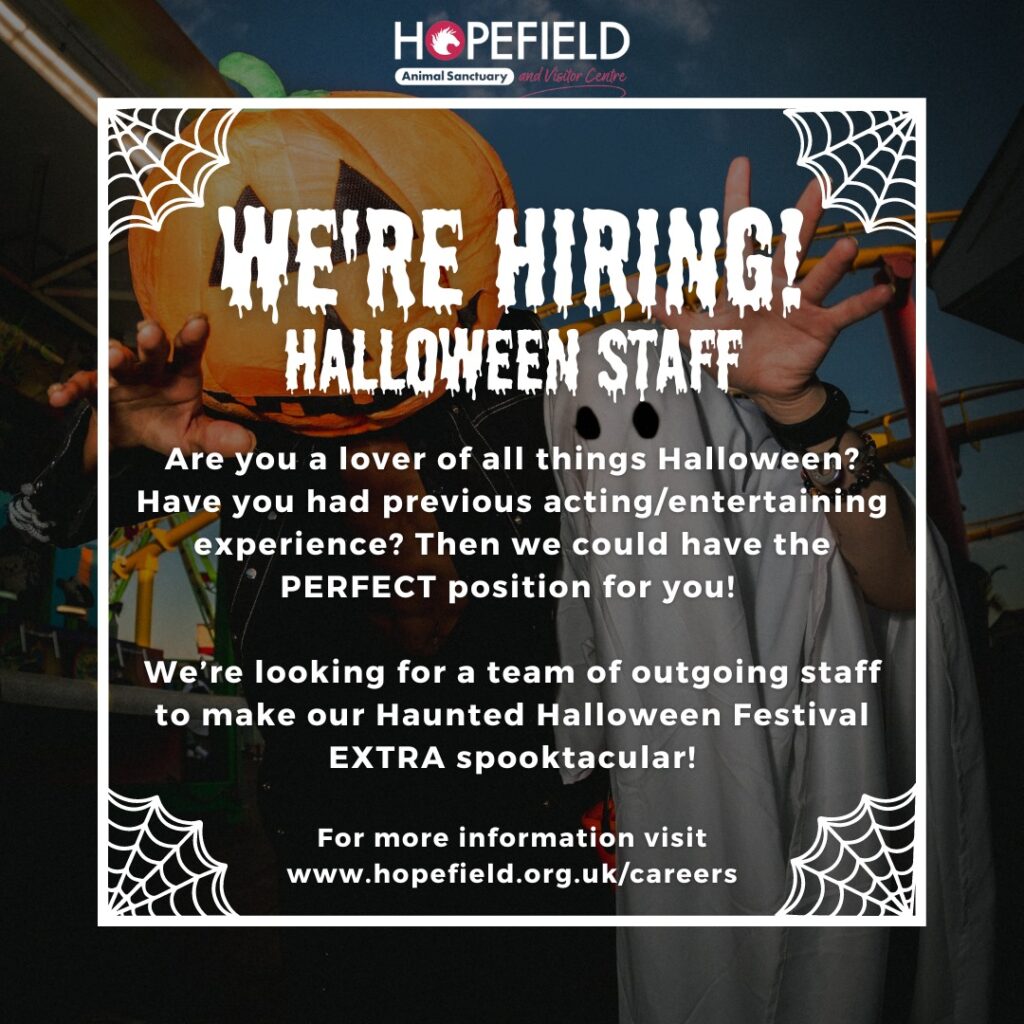 Halloween staff in Essex