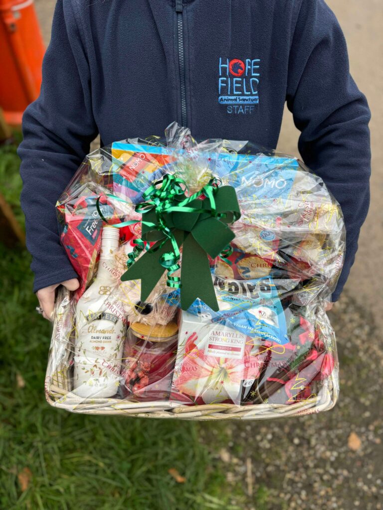 Christmas Hamper best place to volunteer with animals in Essex