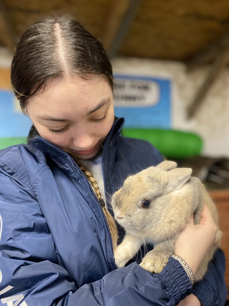 Working with animals in Essex Langbing animal caregiver