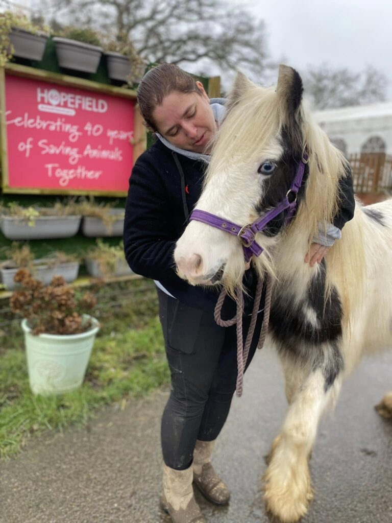 pony rescue in Essex Wendy