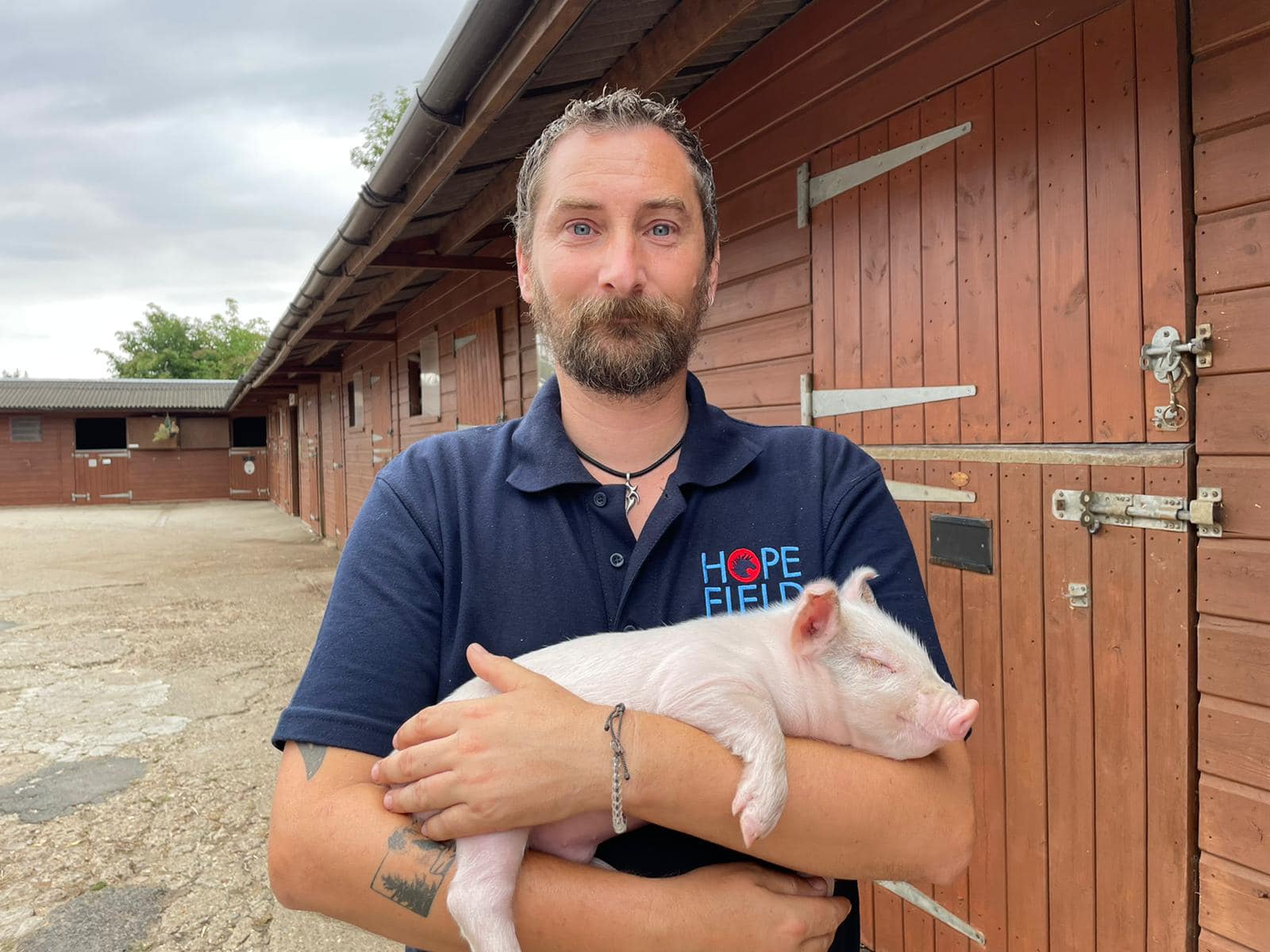 best place to see animals in Essex