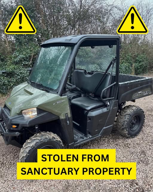 buggy stolen animal sanctuary Essex