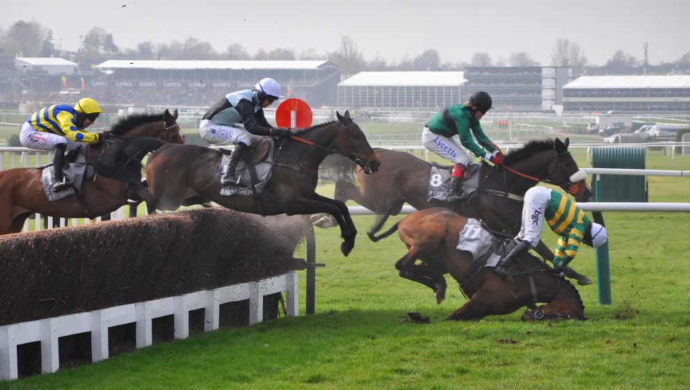 Grand National cruelty horse rescue in Essex