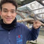 Bird rescue in Essex