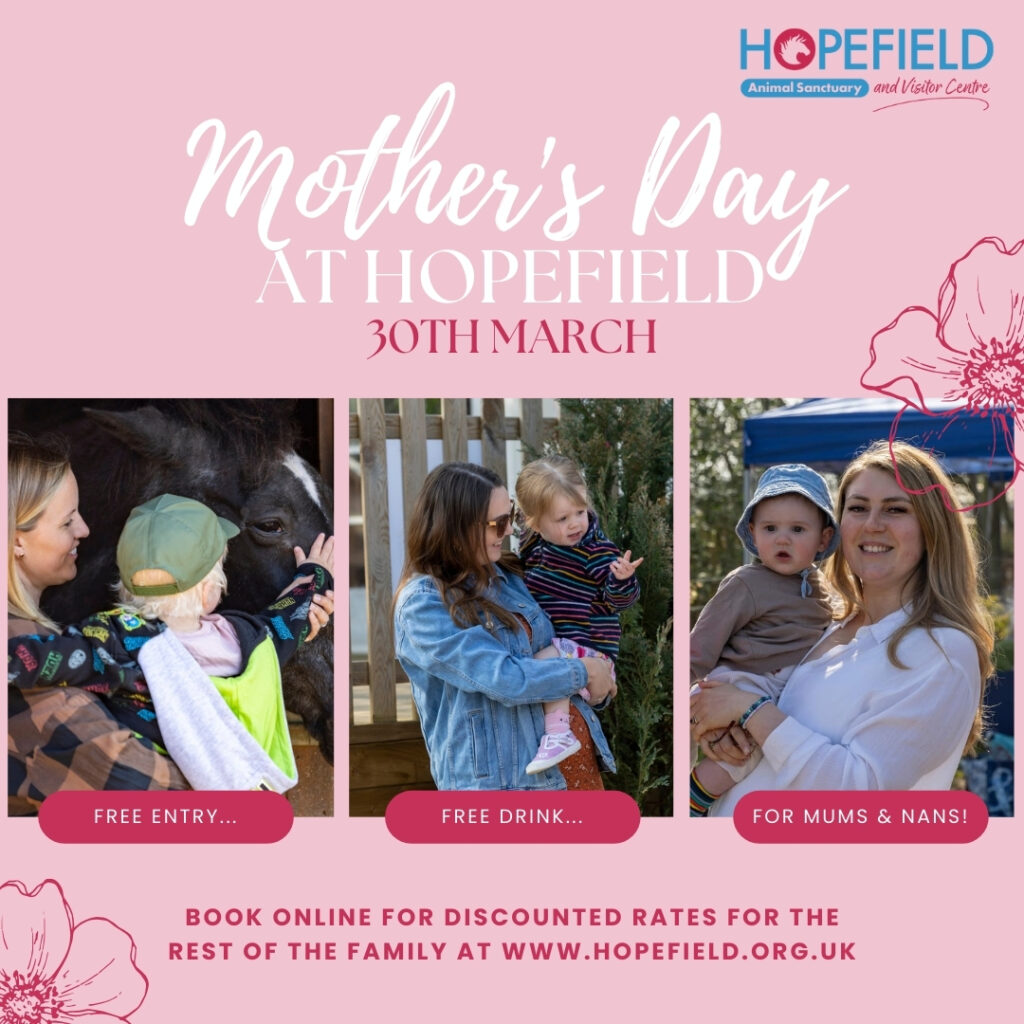 things to do on Mother's Day in Essex