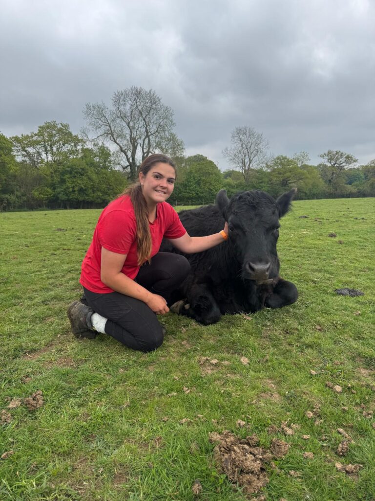 working with animals in Essex