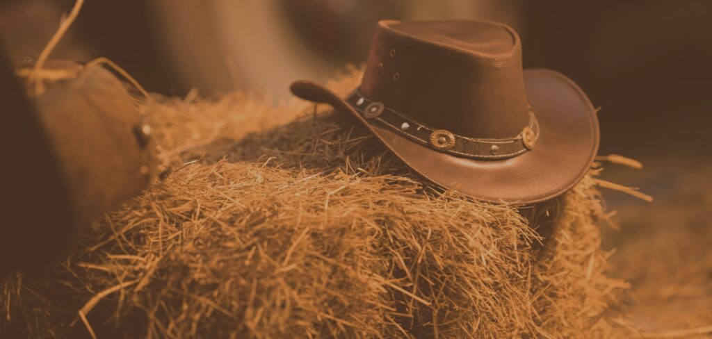 Hopefield Hoedown things to do in Essex with kids this summer