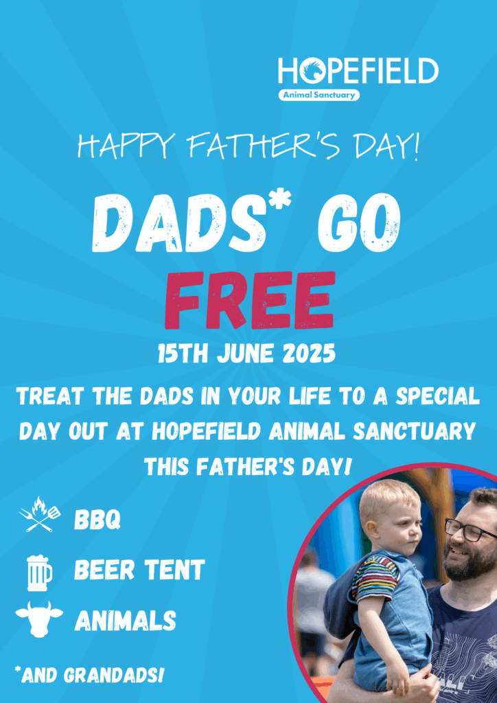 things to do with kids in Essex this summer Father's Day ideas