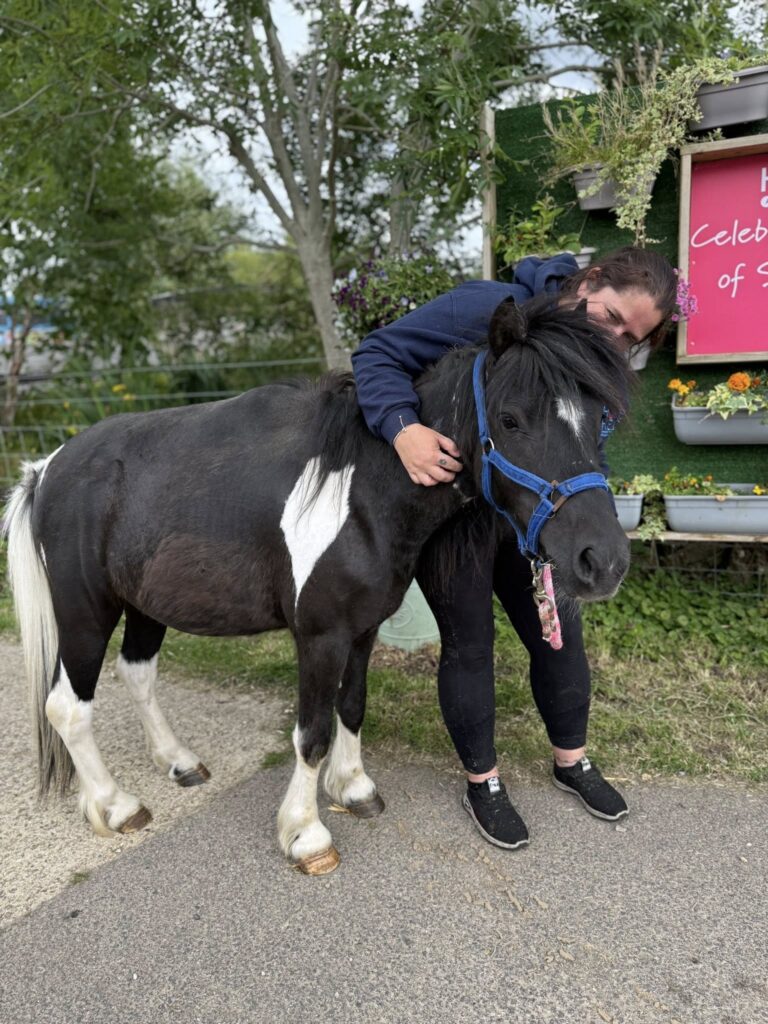 Esmerelda rescue pony