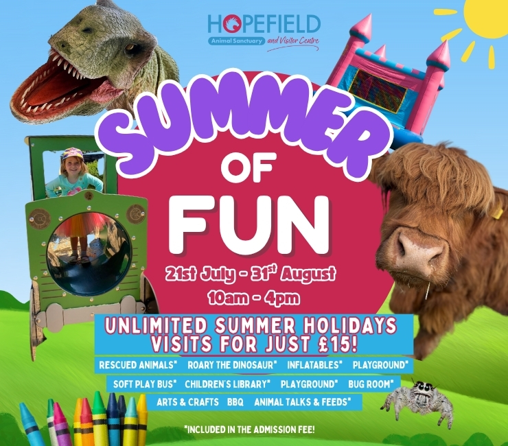 affordable things to do wth kids in Essex in the summer holidays