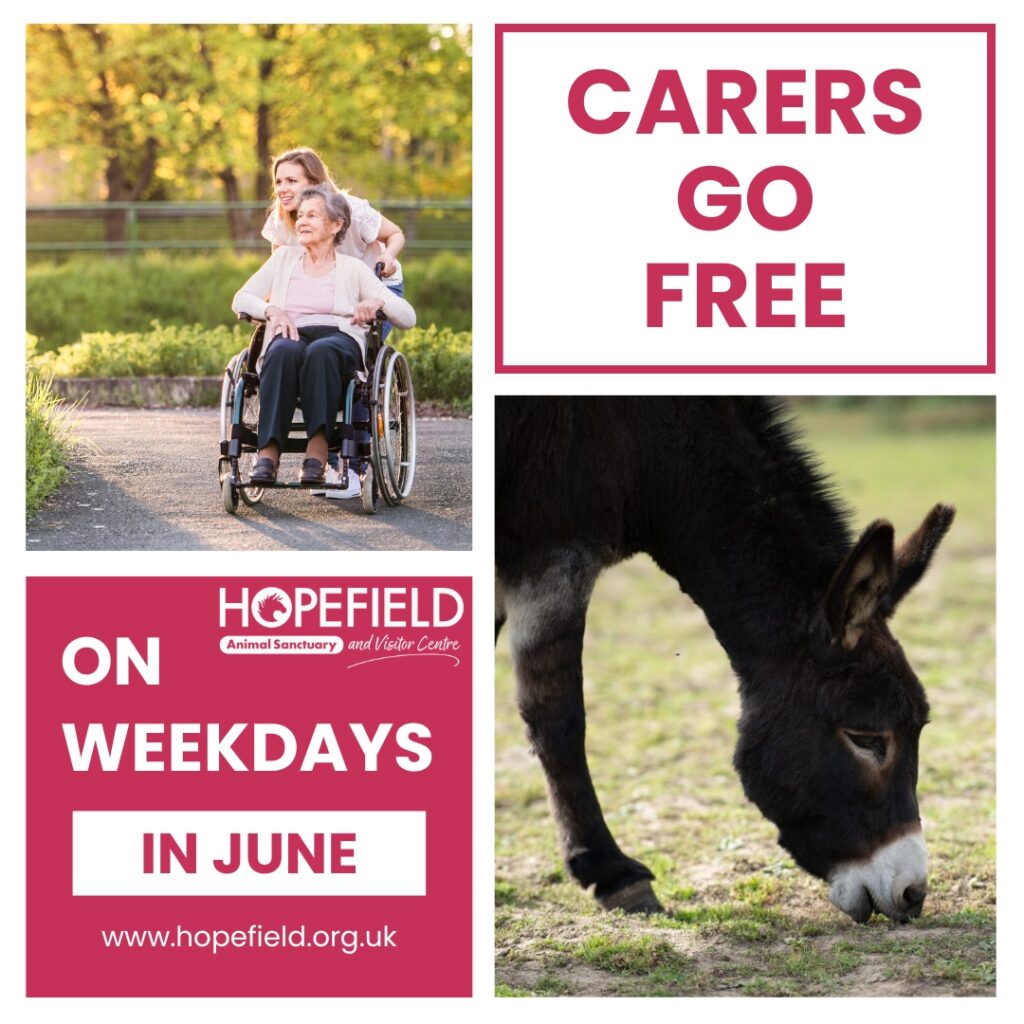 carers go free deals in Essex
